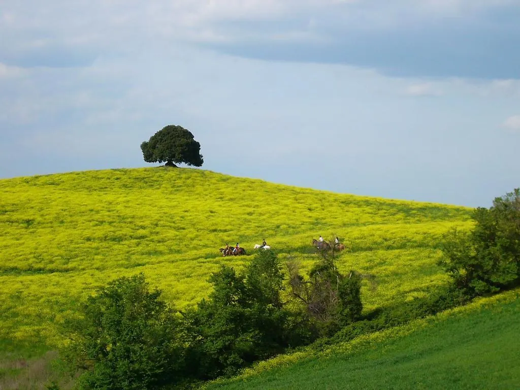 Fattoria Pieve A Salti Villa Buonconvento Farm stay