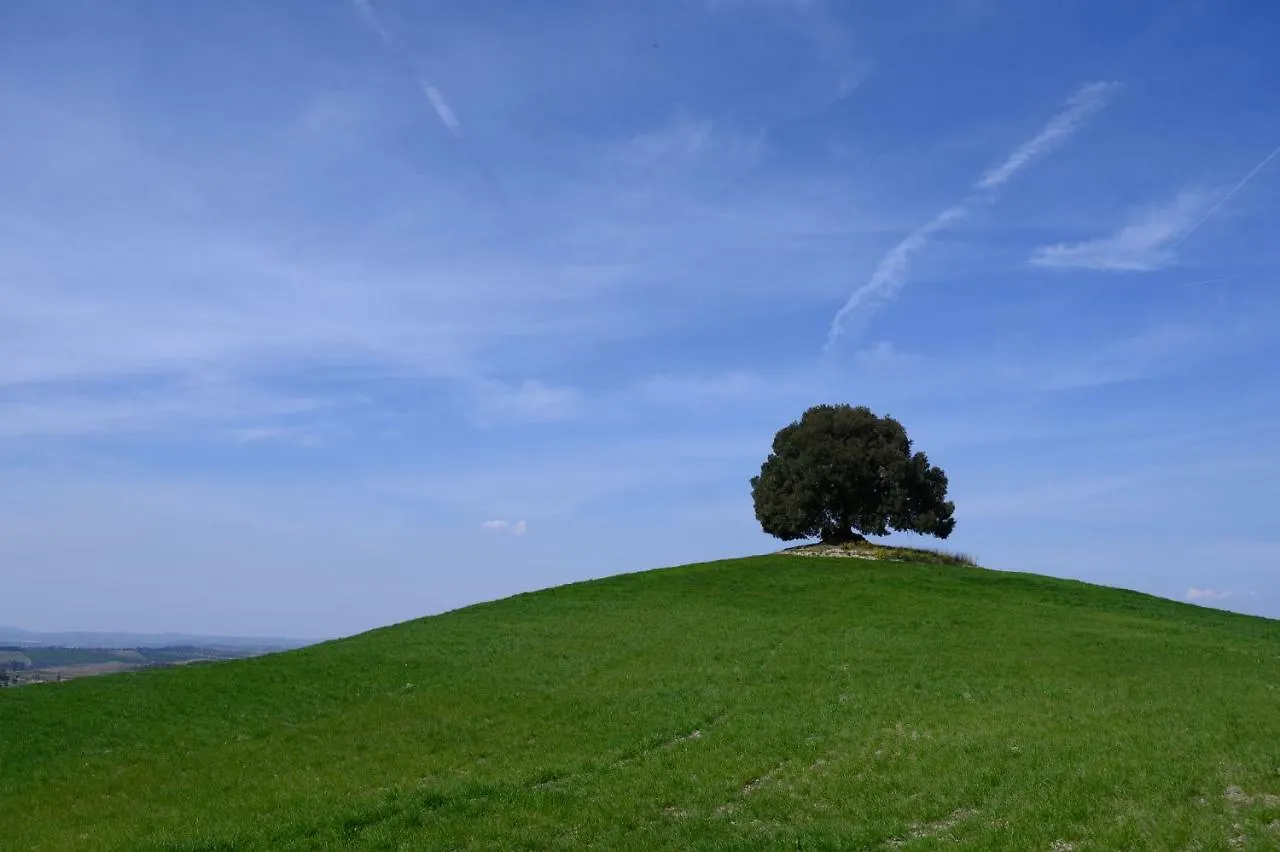Alloggio per agriturismo Villa Fattoria Pieve a Salti Buonconvento
